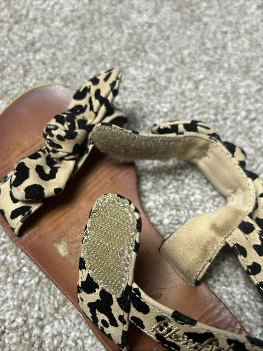Blowfish leopard print